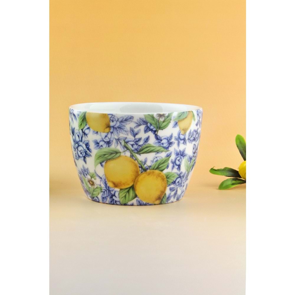 Lemon & blue blanc porselen saksı