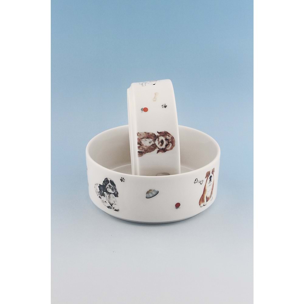 Dogs 2 boy porselen mama & su kabı