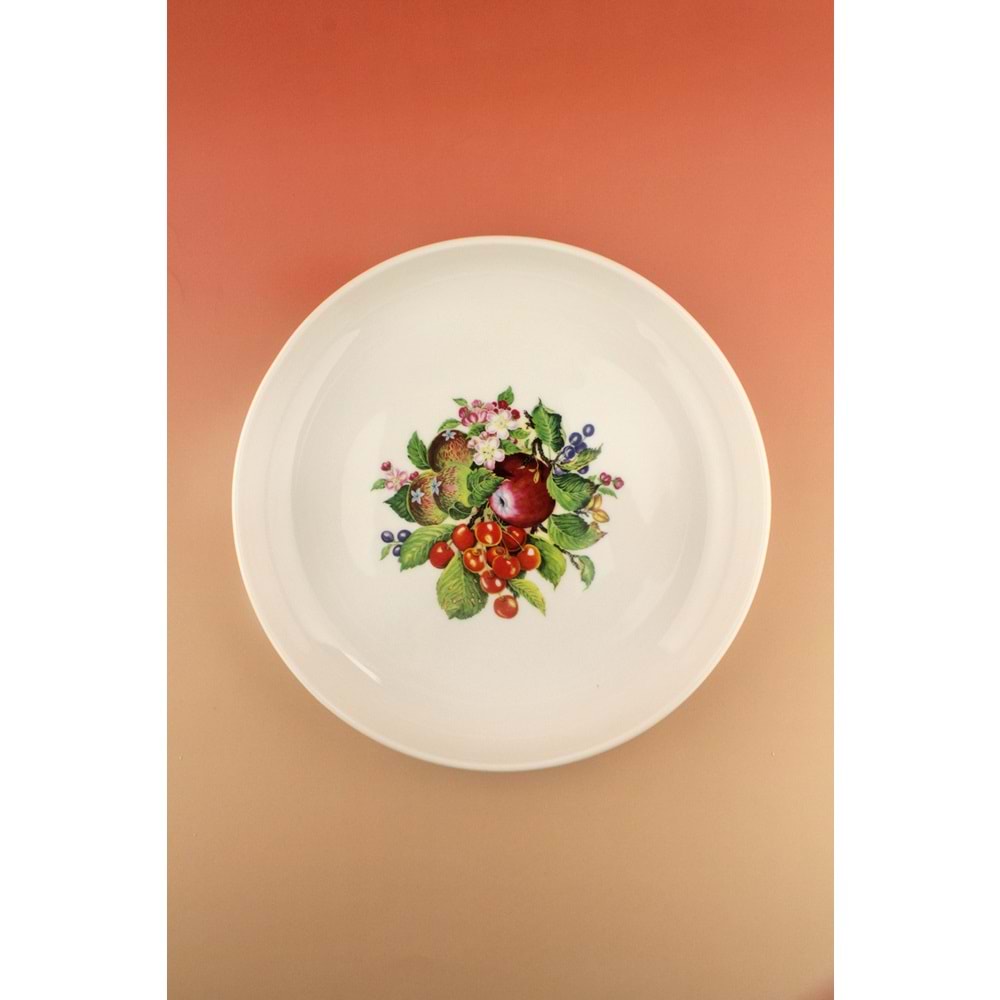 Fruit büyük boy porselen salata kasesi