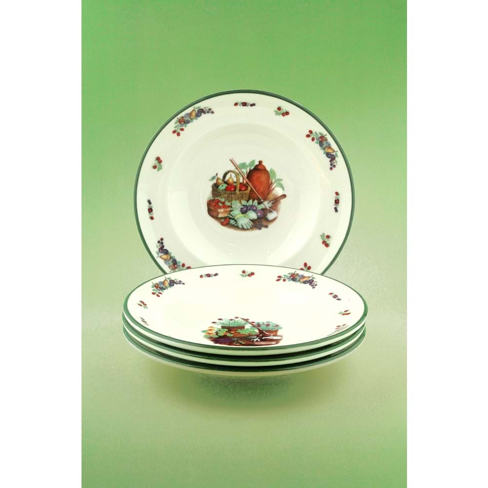 Green gardening 4 parça porselen yemek tabağı