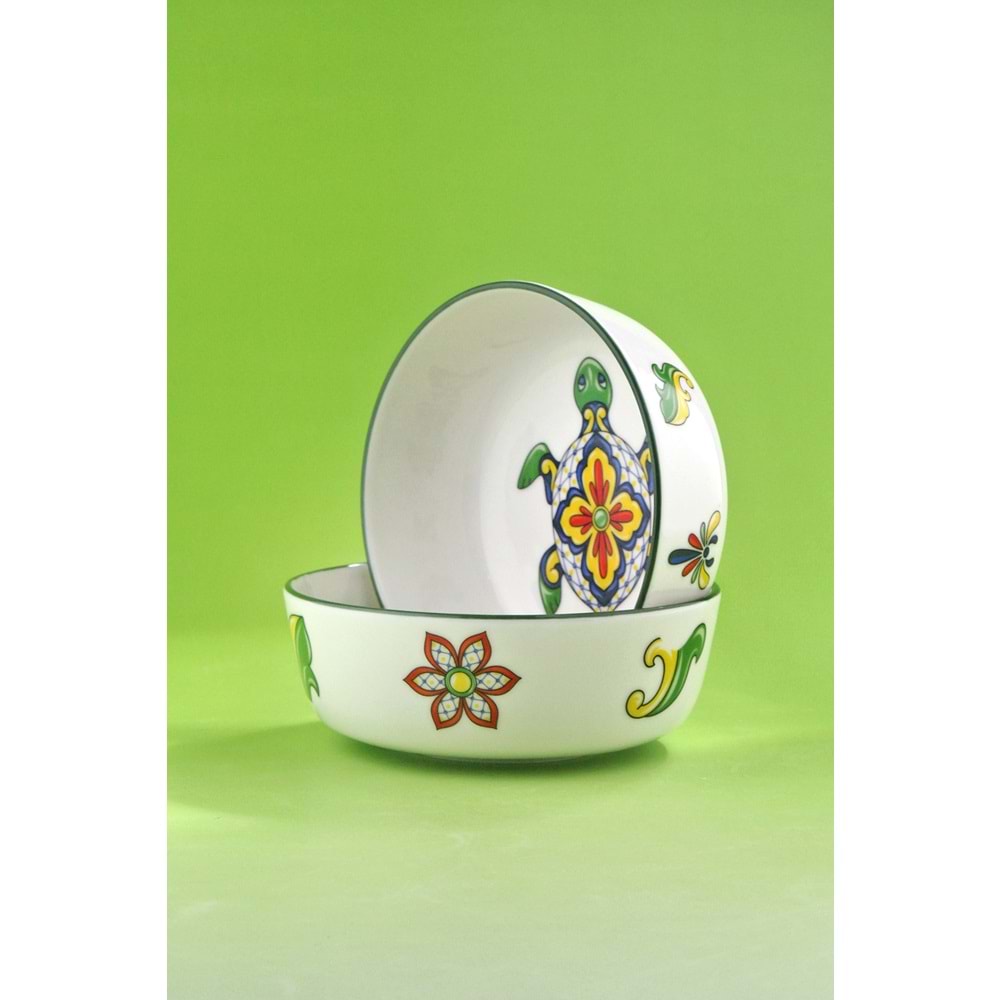 Cactus green 2 adet porselen salata kasesi