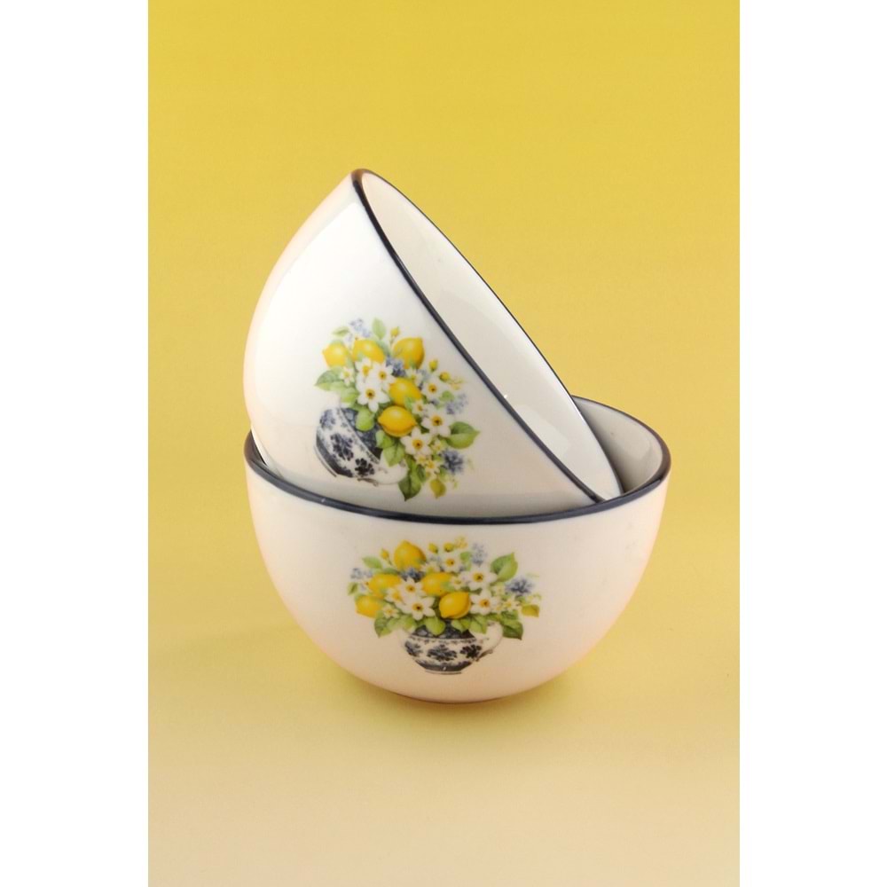 Summer lemon 2 adet porselen salata kasesi