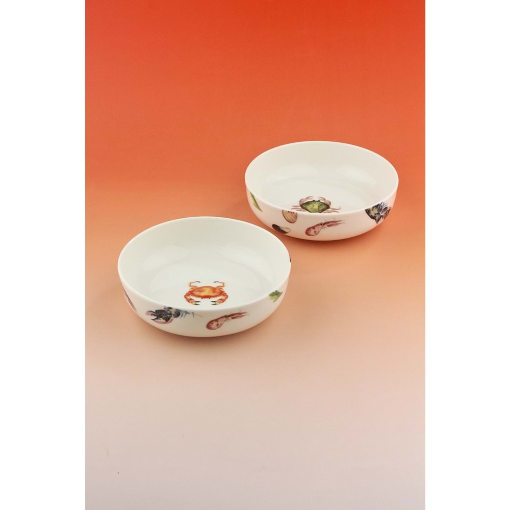 Balık 2 adet porselen salata kasesi