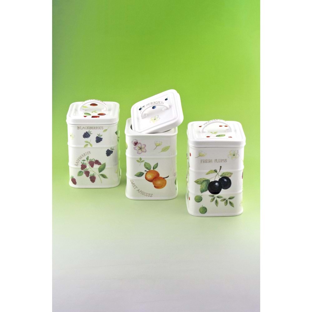 Berries 3 lü vakumlu kapaklı porselen baharatlık