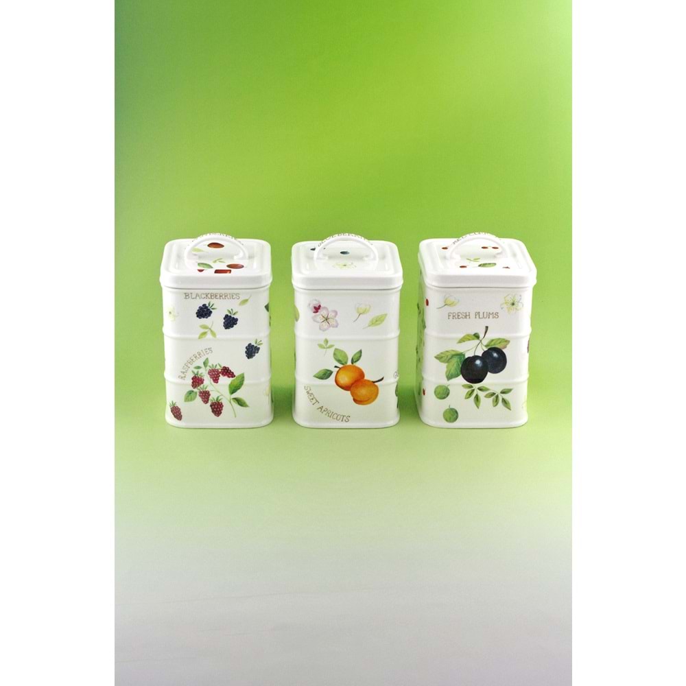 Berries 3 lü vakumlu kapaklı porselen baharatlık