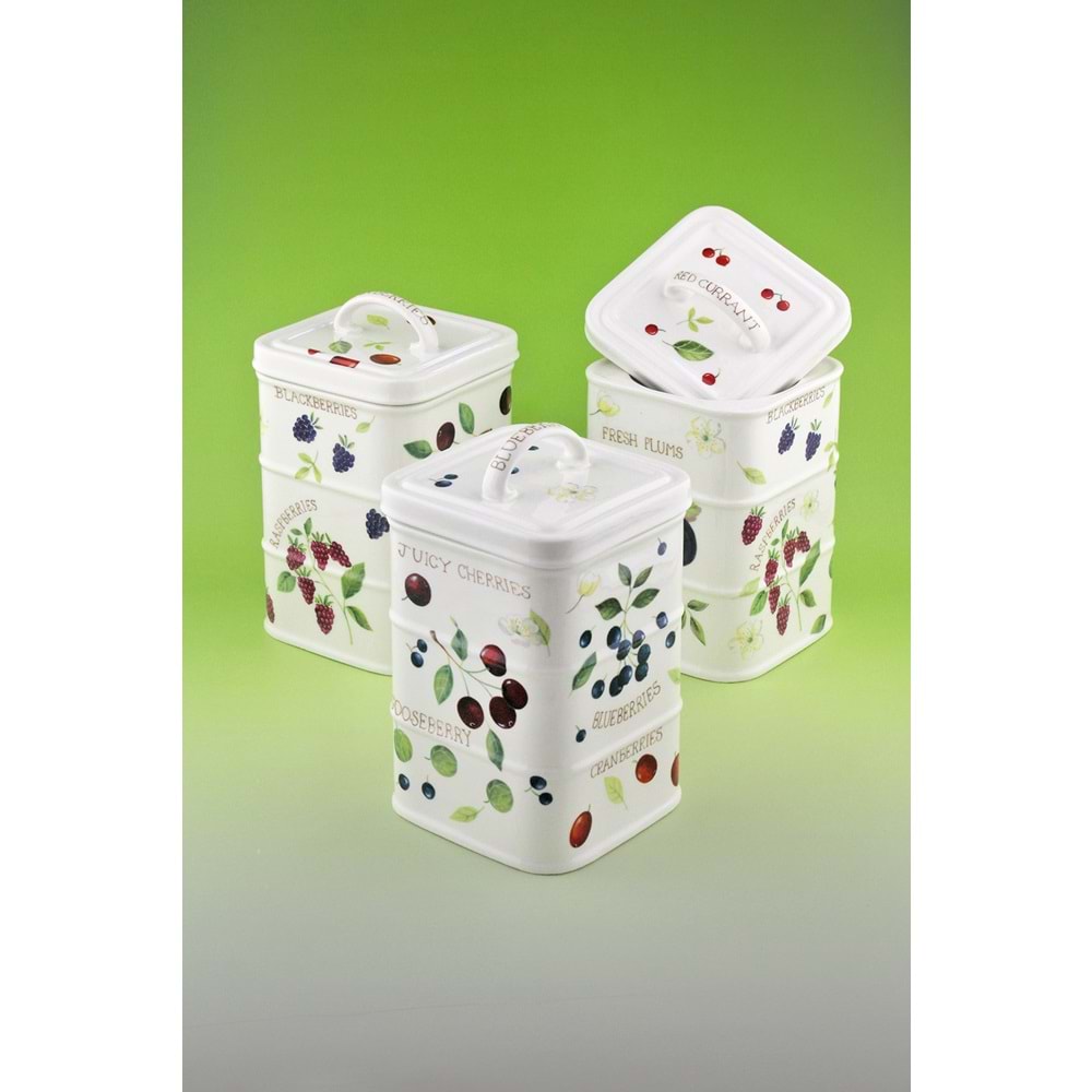 Berries 3 lü vakumlu kapaklı porselen baharatlık