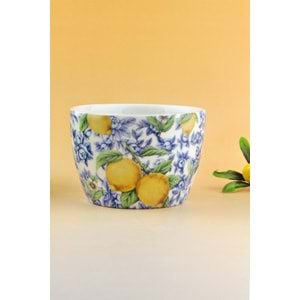 Lemon & blue blanc porselen saksı