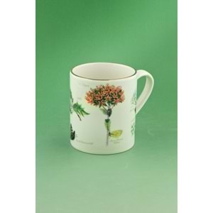 Botanik altın yaldızlı porselen kupa