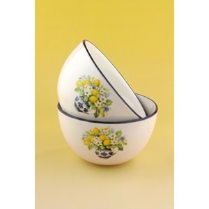 Summer lemon 2 adet porselen salata kasesi