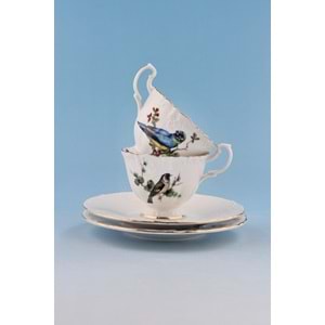 Renkli kuşlar altın yaldızlı 2 kişilik kahve fincan takımı