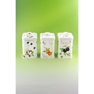 Berries 3 lü vakumlu kapaklı porselen baharatlık