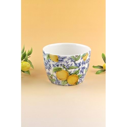 Lemon & blue blanc porselen saksı