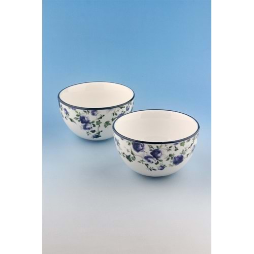 Blue ivy 2 adet porselen kase