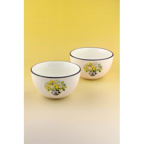 Summer lemon 2 adet porselen salata kasesi